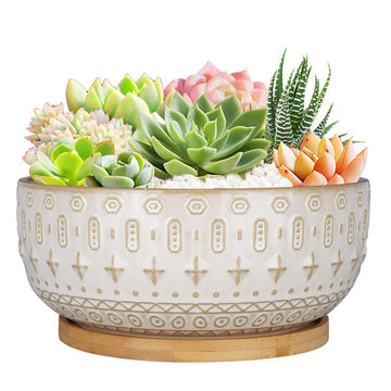8 Inch Ceramic Succulent Planter Pots with Drainage Hole Flower Pot for Indoor Plants Round Shallow Bonsai Pot with