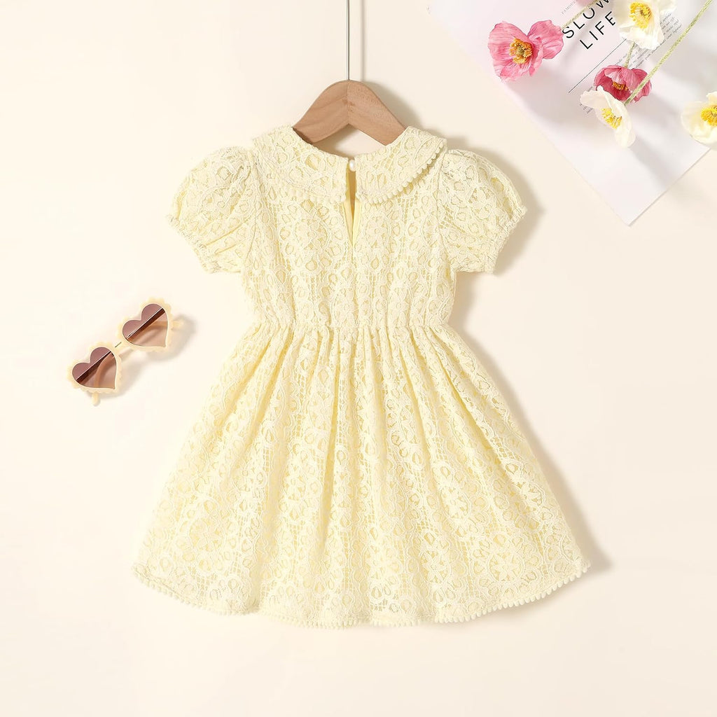 Toddler Girl Dress Elegant Lace Pom Pom Peter Pan Collar Party Princess Wedding Dresses