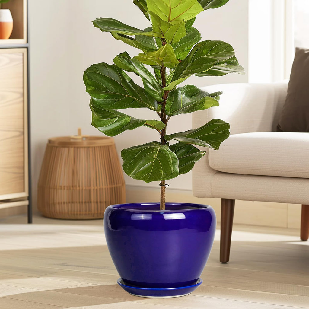 Ceramic Plant Pot 8 Inch, Planter for Indoor Plants, Royal Blue