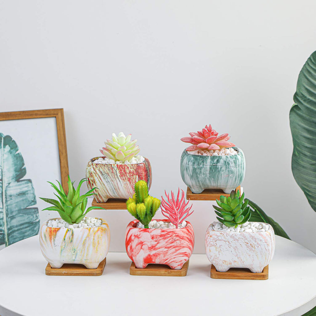 Succulent Pots, 4.7 Inch Rectangular Planters with Drainage Tray Set of 5