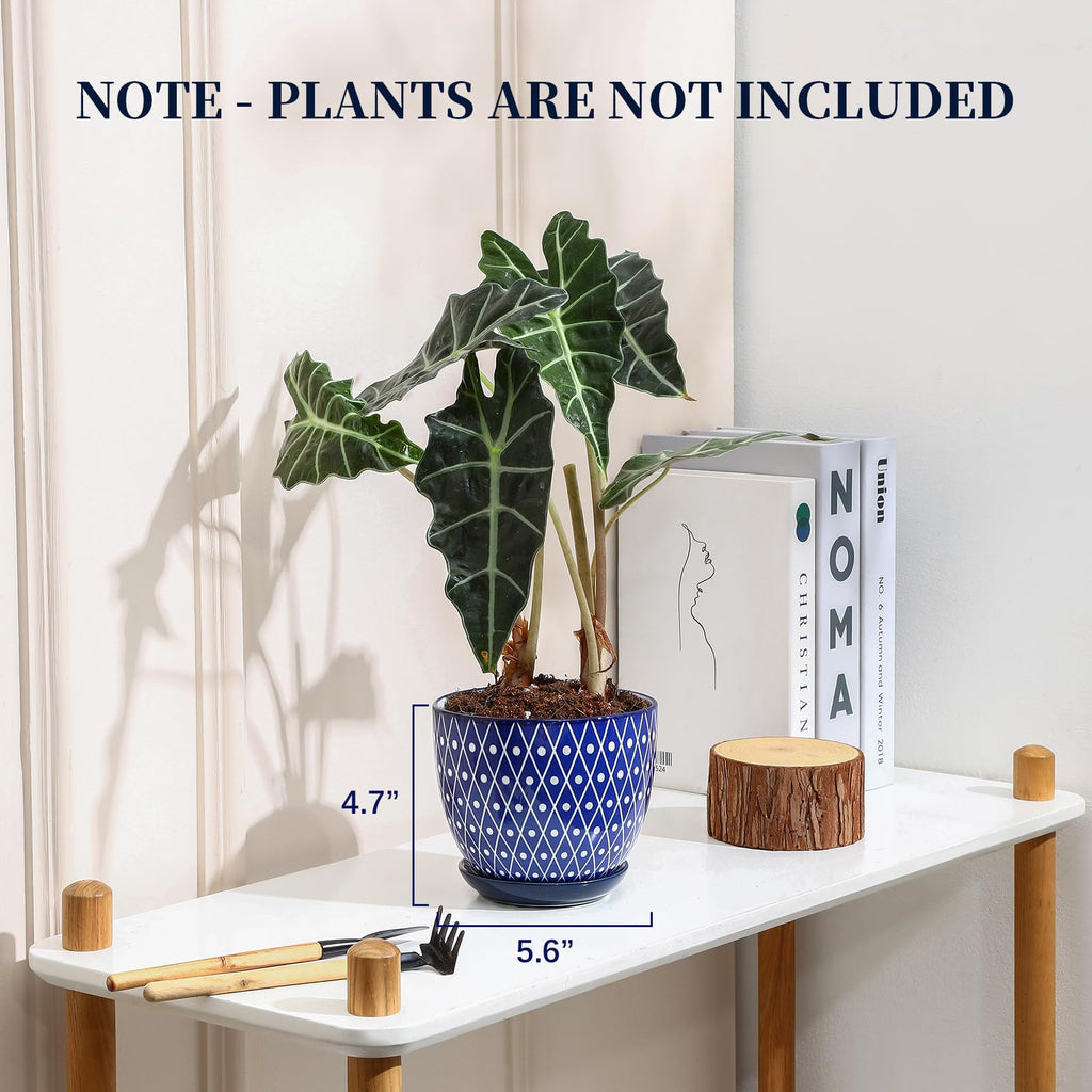 Ceramic Plant Pots, 5.6 Inch Flower Pots for Indoor Plants with Drainage Hole and Saucer, Home Decor, Set of 4