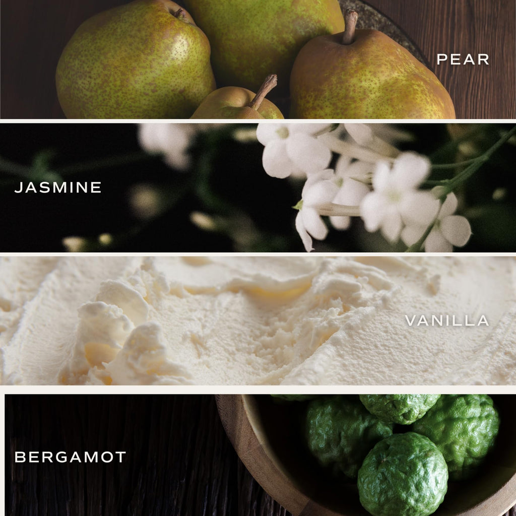 Cashmere and Vanilla Reed Diffuser - Room Decor Aesthetic with Long-Lasting Premium Fragrance of Milky Coconut