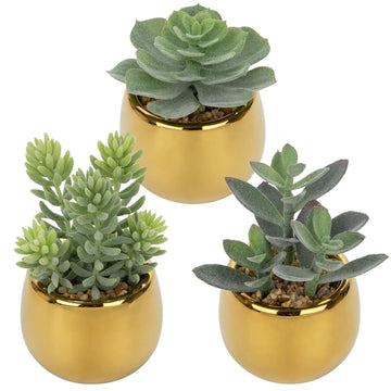 Small Artificial Succulents Potted Set of 3 Realistic Faux Succulents Plants with Gold Ceramic Pots Cute Mini Flocked