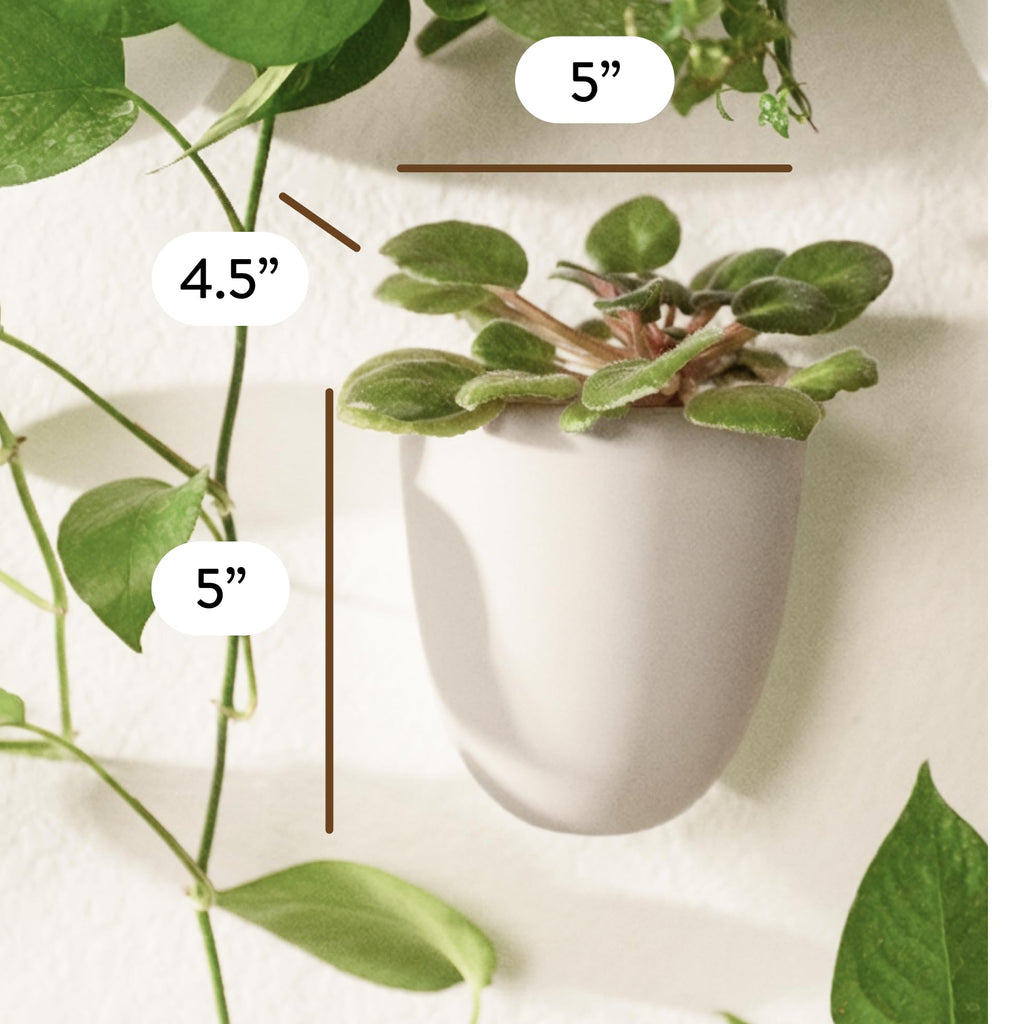 PlantPod Luxe - Self-Watering Wall Planters (Set of 6, Stone) - Easy to Water and Install - Lightweight - Design Your