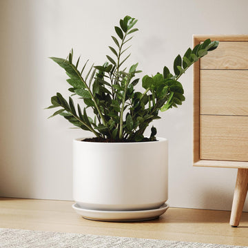 10 Inch Plant Pot, Ceramic Pots for Plants, White