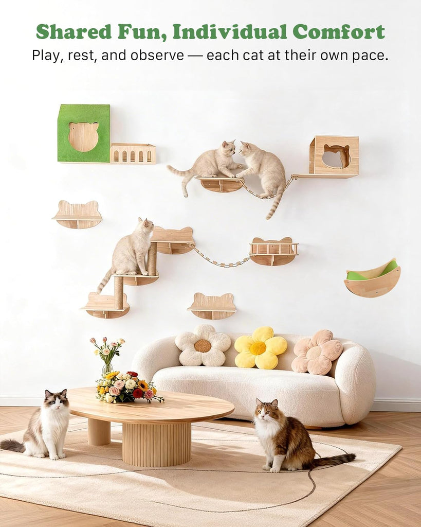 16 in 1 Solid Wood Cat Wall Shelves for Large Spaces & Multi-Cat Homes