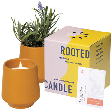Soy Candle Planter - Grows Lavender - Cedarwood Scent - 6 oz