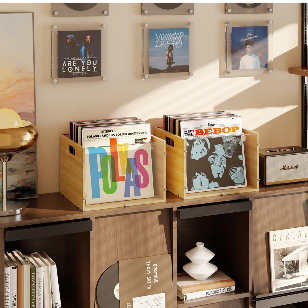 2-Pack Vinyl Record Storage Box, Bamboo & Acrylic Crate