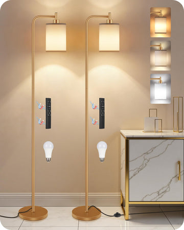 Dimmable Floor Lamp with Remote & 10W Bulb