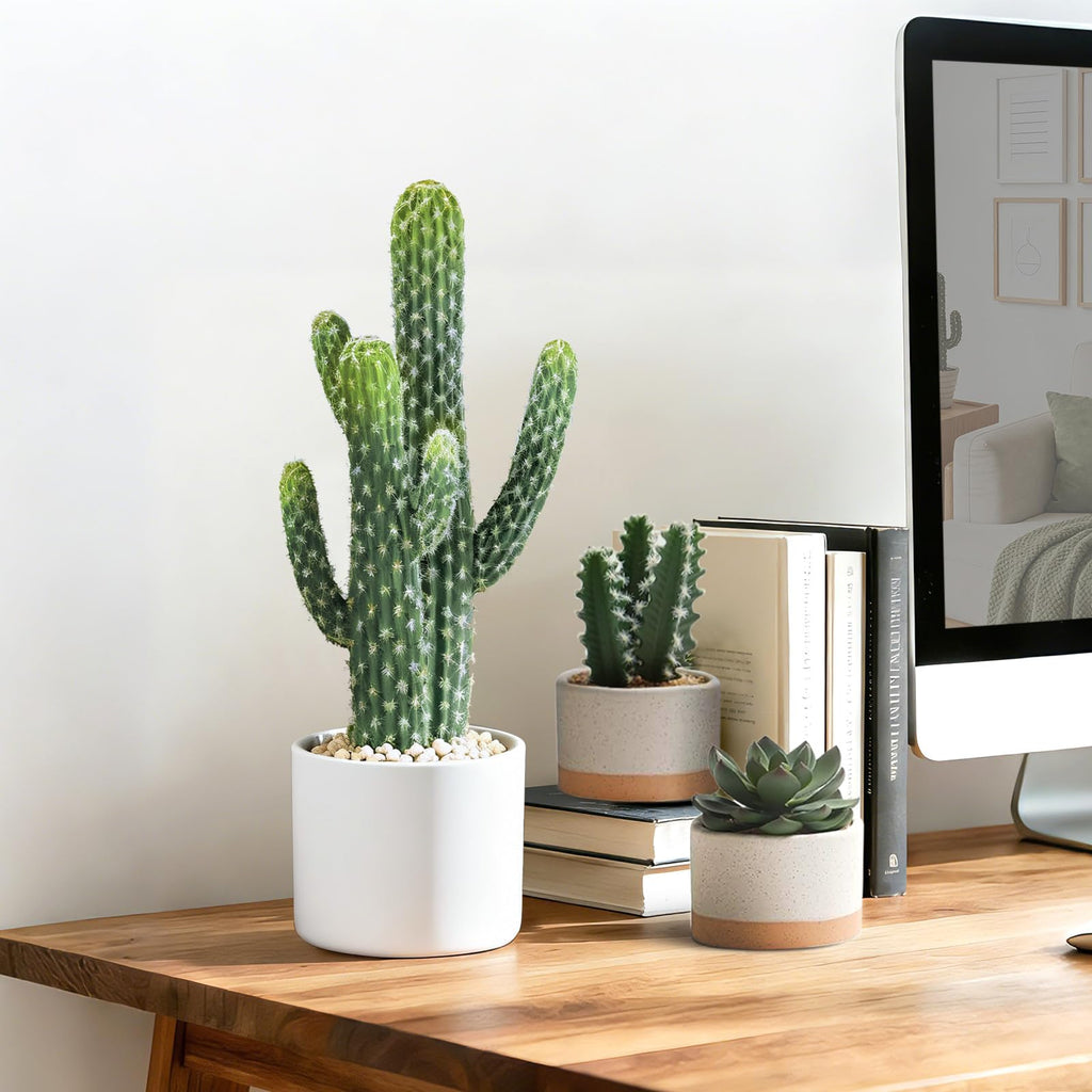 Artificial Cactus Small Fake Succulents Ceramic Plant, Desk, Shelf, and Indoor Dec- 2packs