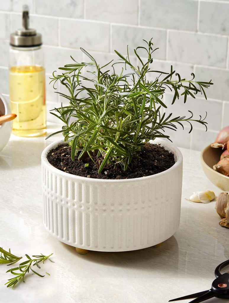 Succulent Pots, 6.5+8 Inch Ceramic Indoor Plant Pot with Drainage Hole, Shallow Round Succulent Planters, Set of 2