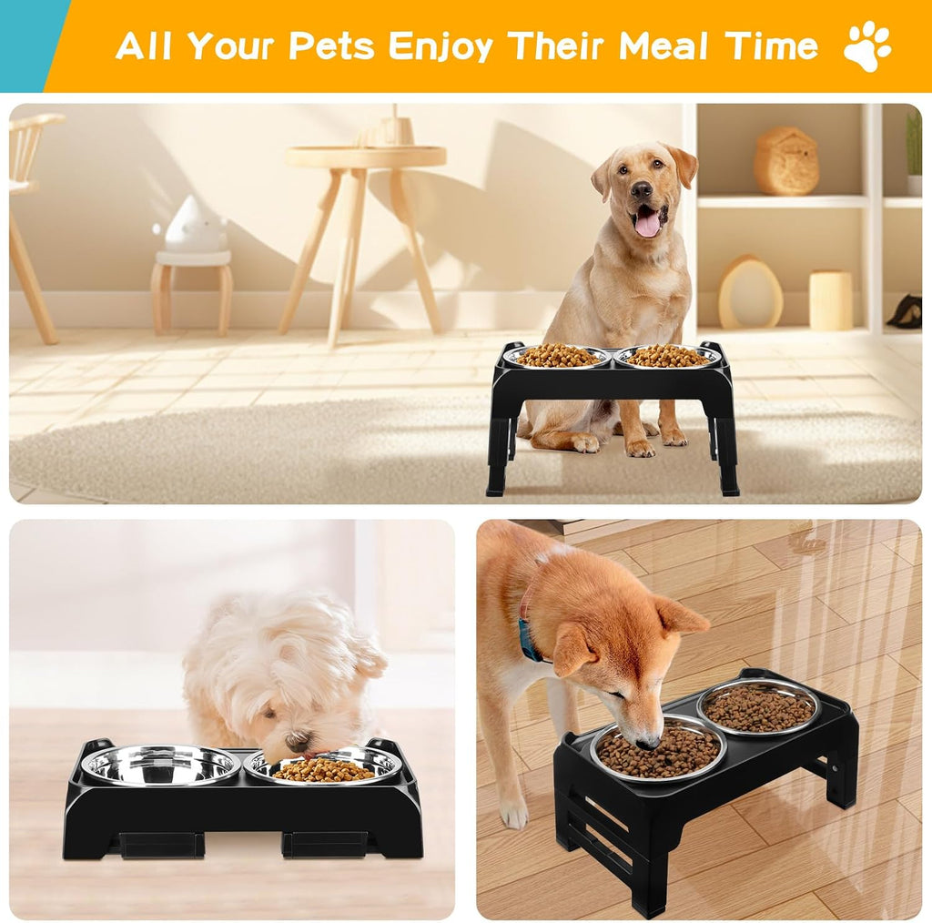Elevated Dog Bowls for Small Medium Dogs, 3 Height Adjustable Raised Stand with 2 Thick 6" Stainless Steel Food
