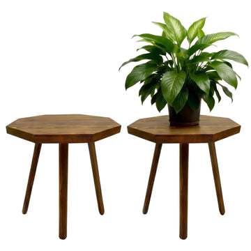 2 Pack Plant Stand for Indoor, 12x12in Large Octagon Wooden Plant Stand, Mid Century Modern Boho Stool for 5-15 Inch