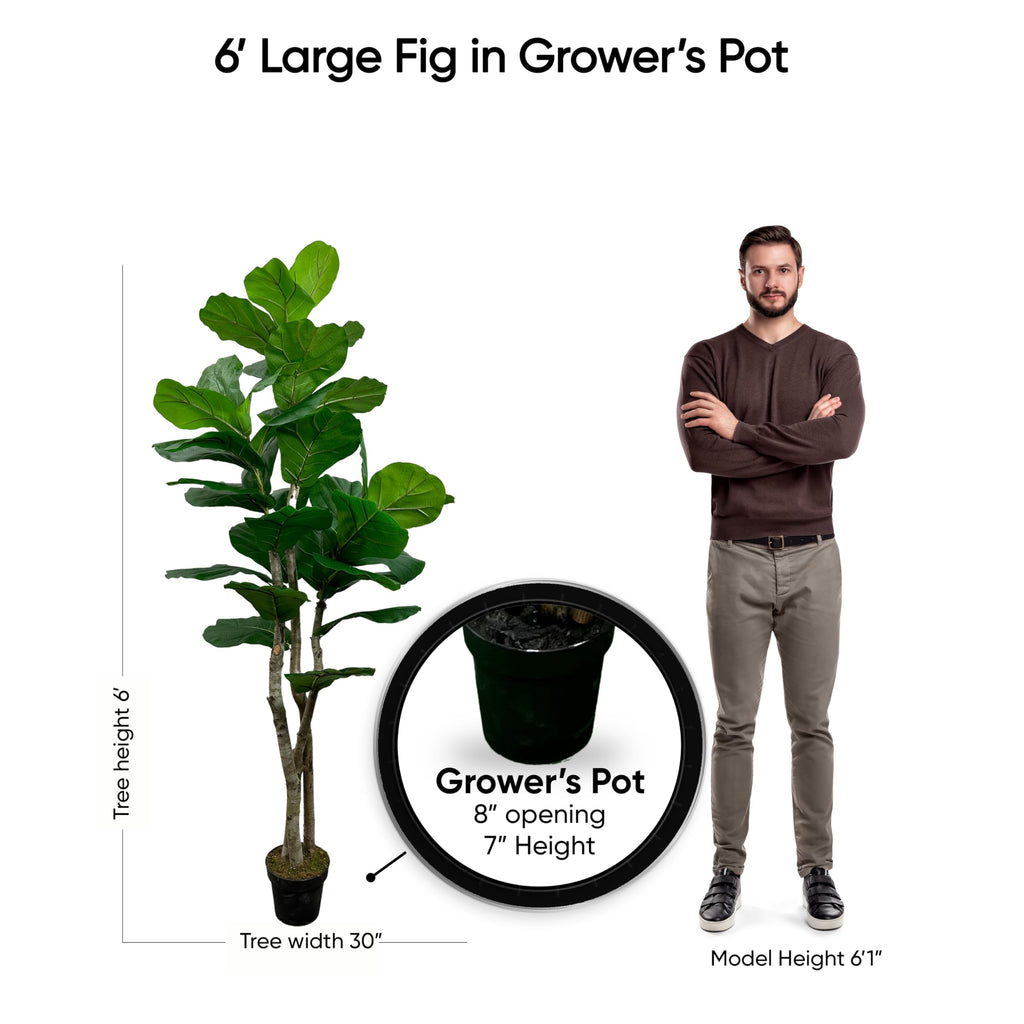 Handmade 6ft Oversized Fiddle Leaf Fig Ficus Lyrata Artificial Tree with Ethically Sourced Real Wood Trunks
