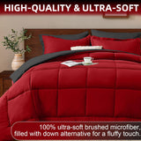Queen Comforter Set 7 Pieces, Reversible Queen Bed in a Bag with All Season Premium Comforter