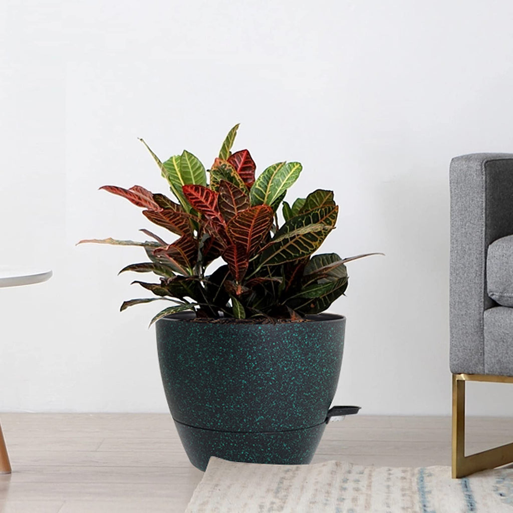 Large Self Watering Pots, 12/10/9 Plastic Planters with High Drainage Holes and Deep Reservoir for Indoor Outdoor