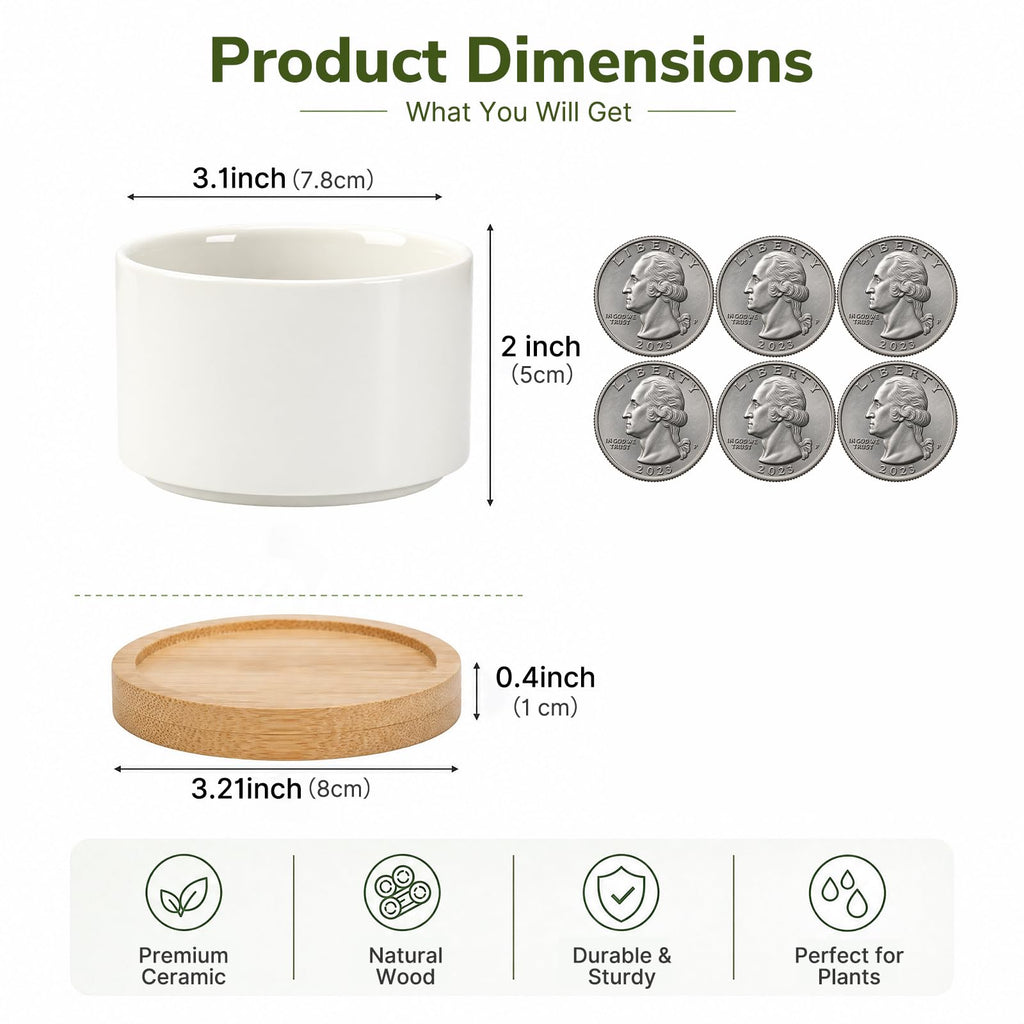 12 Pack 3.1" Ceramic Succulent Pots, White Planter with Drainage Tray