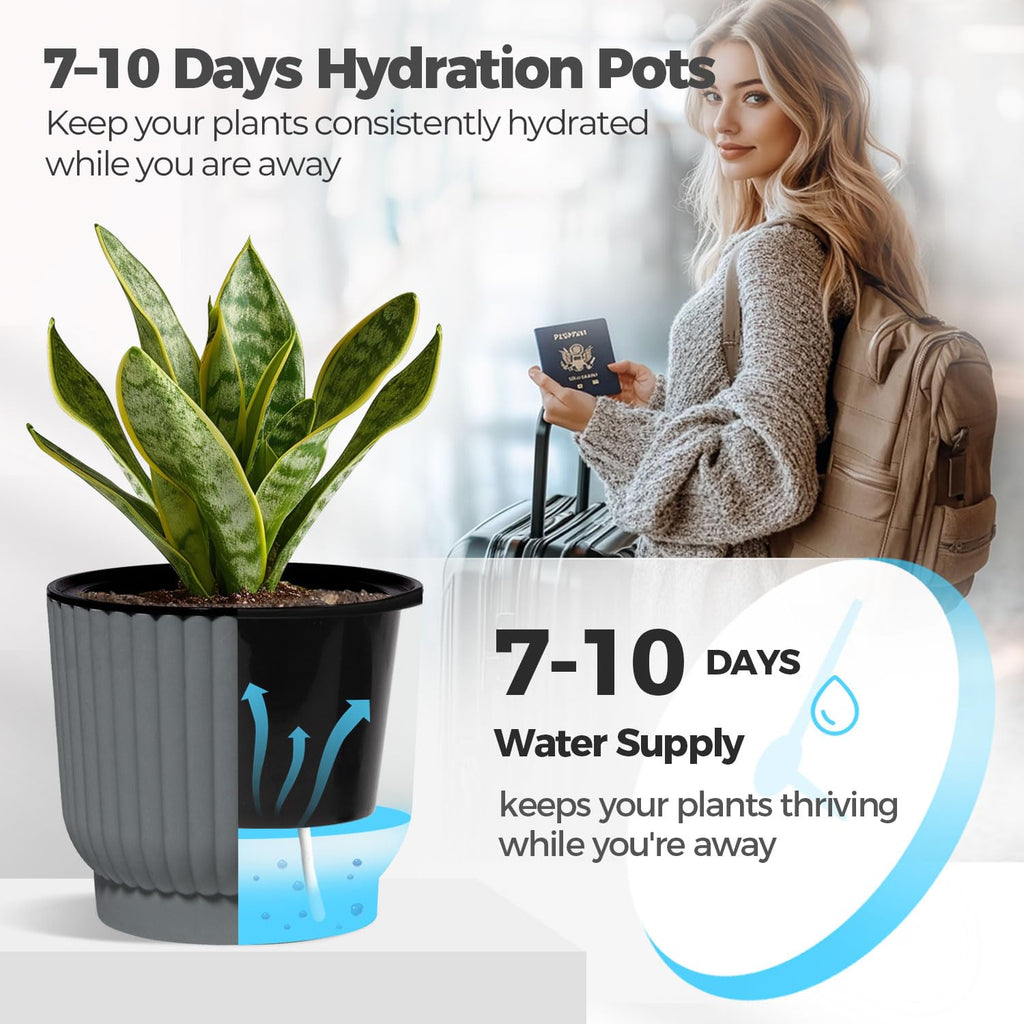 Self Watering Pots for Indoor Plants, 6 Inch 6 Pack Planter Gray