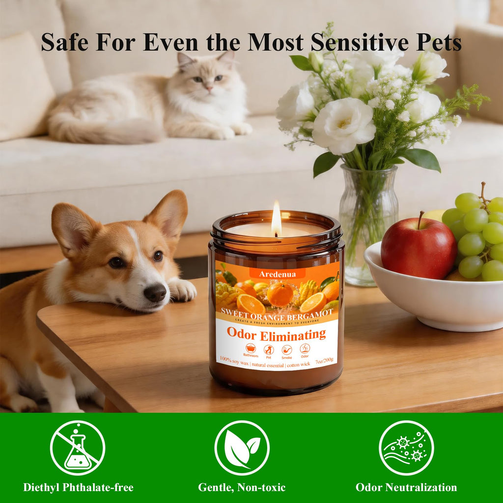 Orange Odor Eliminating Candles, 7 oz Soy Scented Candle