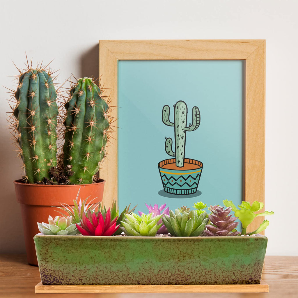 12.1 Inch Large Succulent Planters Pots with Drainage Tray, Long Rectangle Ceramic Pots for Indoor Cactus/Succulent