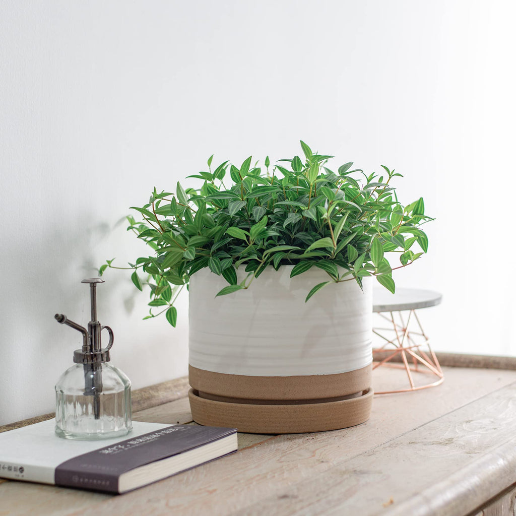 8 Inch Pots for Plants, Ceramic Planter Pot with Drainage Hole & Saucer, Indoor or Outdoor Cylinder Round Planter
