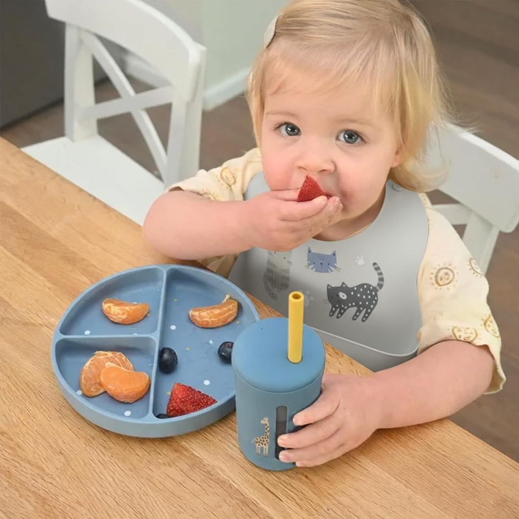 Silicone Bibs 2 Sets Baby Bibs with Food Catcher for Girls Boys Toddlers BPA Free Waterproof Soft Durable