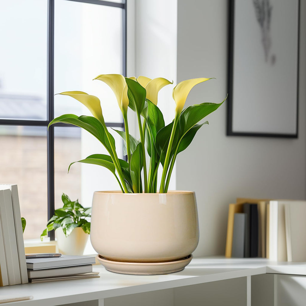 Ceramic Plant Pots - 9 Inch Round Planter, Ceramic Flower Pots with Drainage and Saucer, Modern Indoor Outdoor