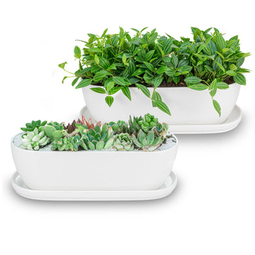 11+14 inch Ceramic Plant Pots with Drainage Holes Saucers, Set of 2