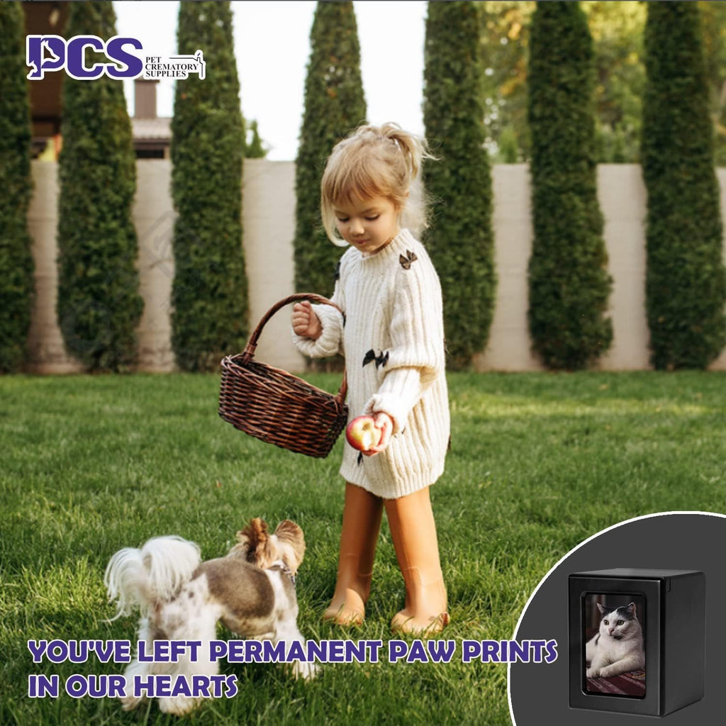 PCS Cat Urn for Ashes - Photo Urn, Black Small Pet Cremation Box