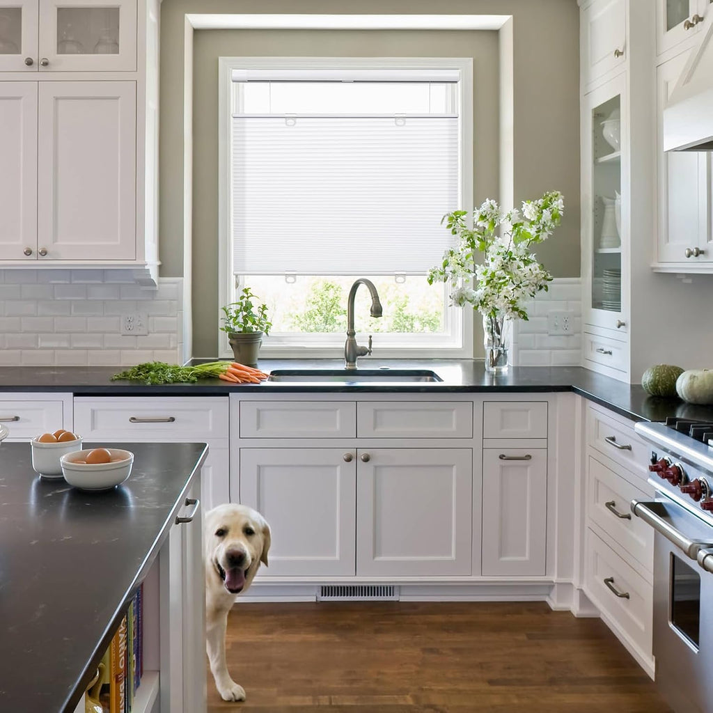 Top Down Bottom Up Cordless Cellular Shades No Tools No Drill Blinds for Windows Shades for Indoor Windows Honeycomb