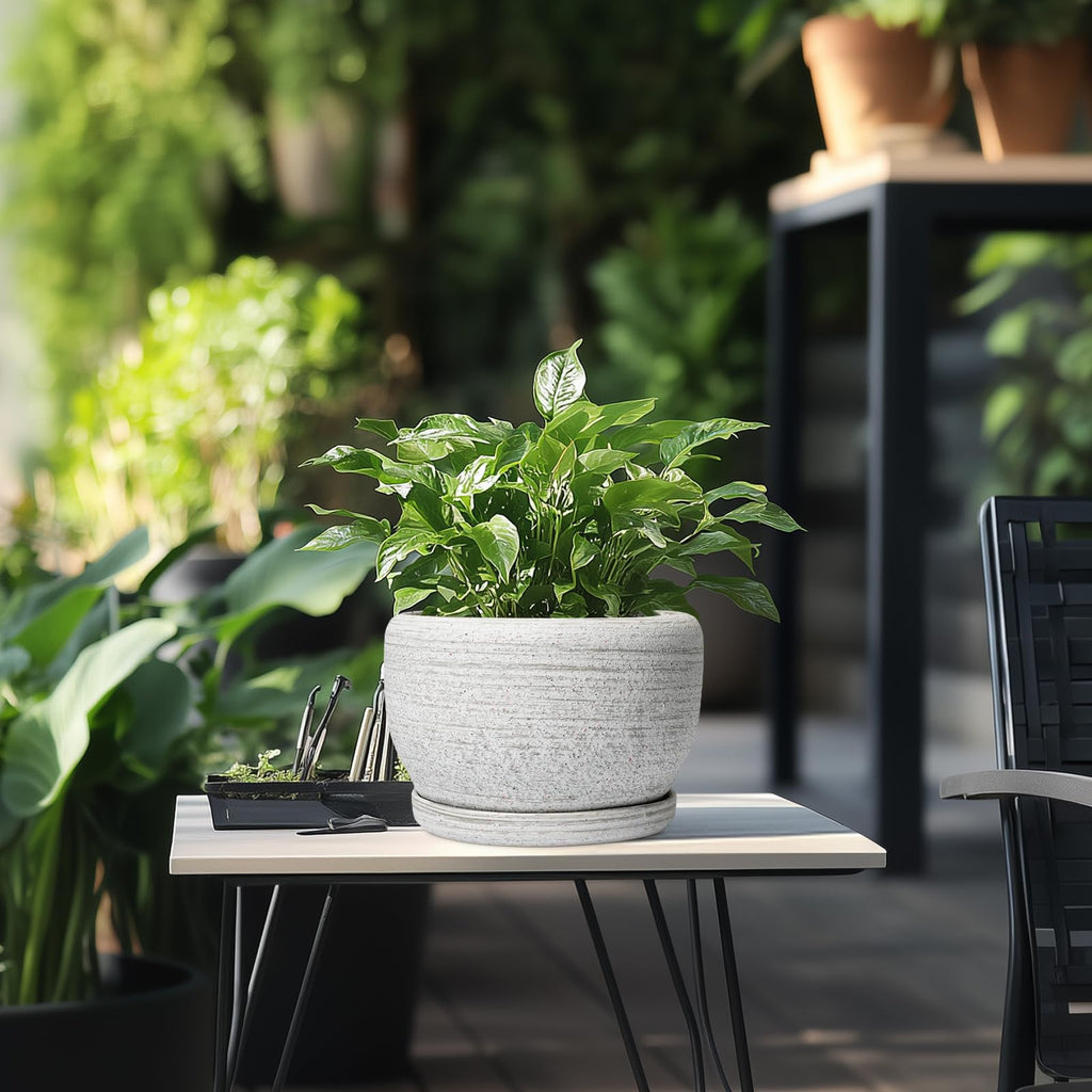 Ceramic Plant Pots - 8 inch Planter for Indoor Plants, Round Flower Pot with Drainage Hole and Plant Saucer, Modern