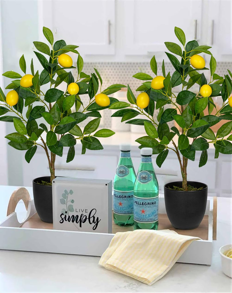 2Ft Artificial Lemon Trees, 2 Packs Large Artificial Plants Indoor with Black Pots Faux Potted Citrus Trees Fake