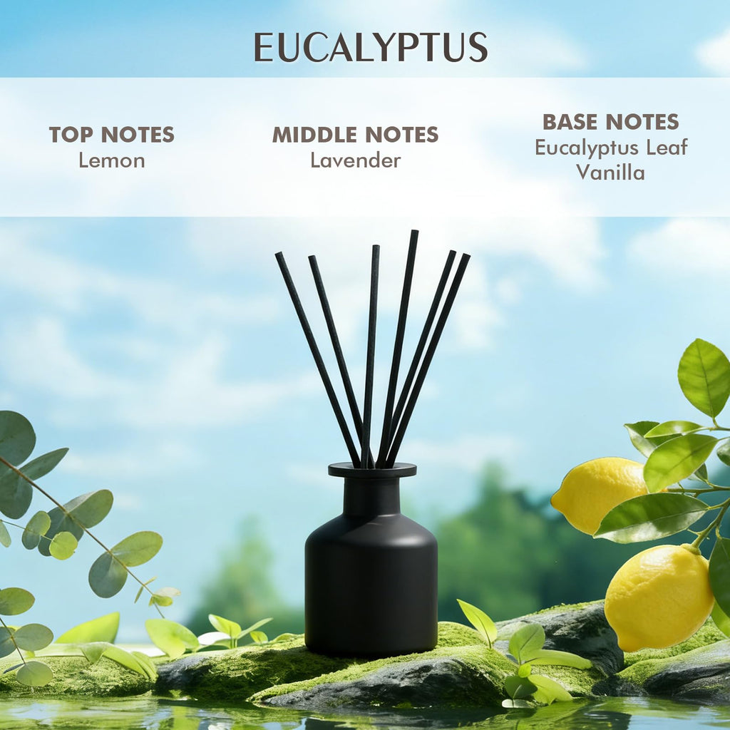 Reed Diffuser Set, Eucalyptus Home Fragrance, 100ml(3.38fl.oz)