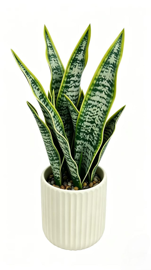 16 Inch Artificial Snake Plant in Ceramic Pot