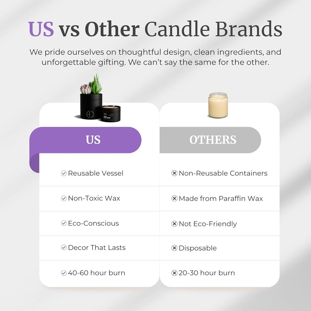 Hidden Candle - Cozy Tiny Home | Vanilla, Lavender & Eucalyptus Scented Candle with Faux Succulent | 10.6oz Soy Wax - Set of 106
