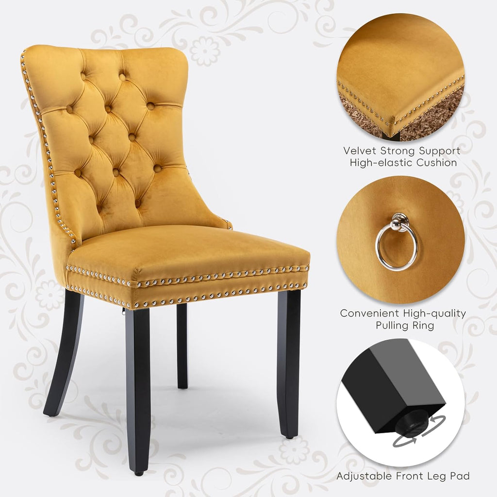 Velvet Upholstered Dining Chairs Set of 2, Modern Style Kitchen Side Chairs with Nailhead Trim and Wood Legs,Metal