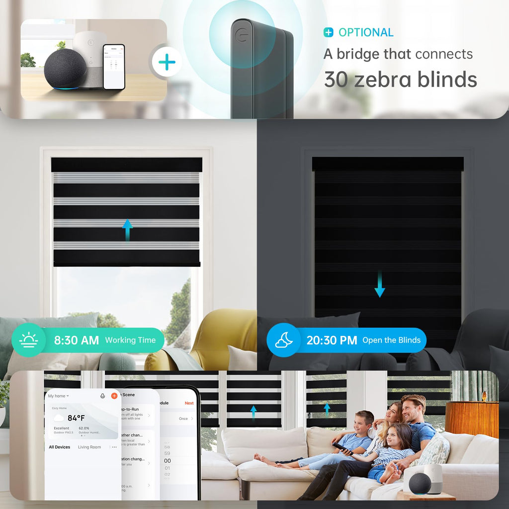 Motorized Zebra Blinds, Solar Powered Dual Layer Automatic Shades with Remote Control, Rechargeable Smart Blinds