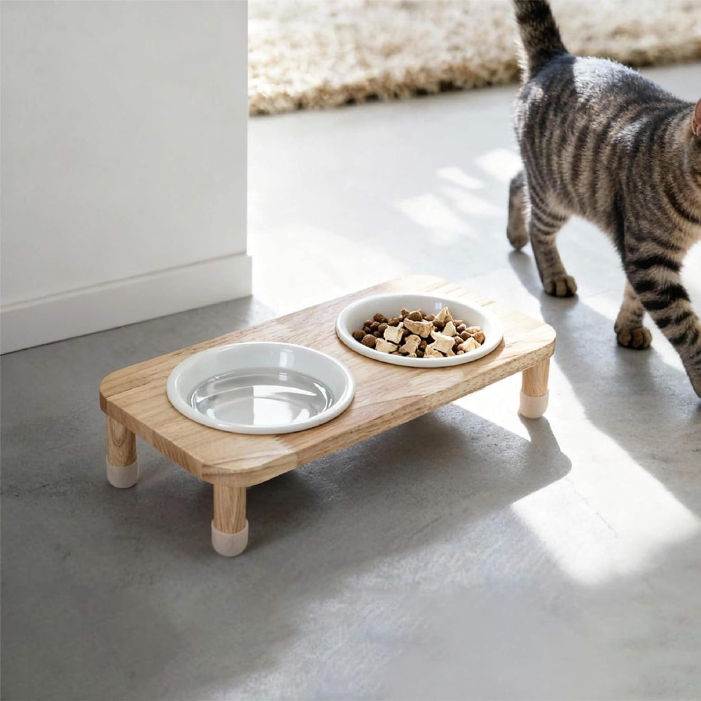 11.8 oz Elevated Ceramic Double Cat Bowl Set - Modern Lead-Free Feeder with Natural Oak Wood Stand (Oak Stand & 2