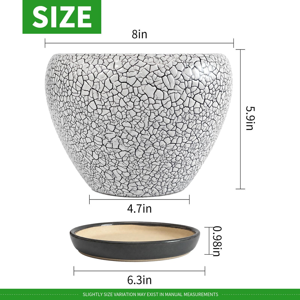 8 Inch Plant Pots- Ceramic Pots for Plants with Drainage Hole and Saucer, Large Planter Pot for Indoor Plants Outdoor