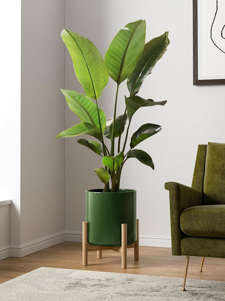 12 Inch Pot for Plants, Ceramic Indoor Planter, Bamboo Green