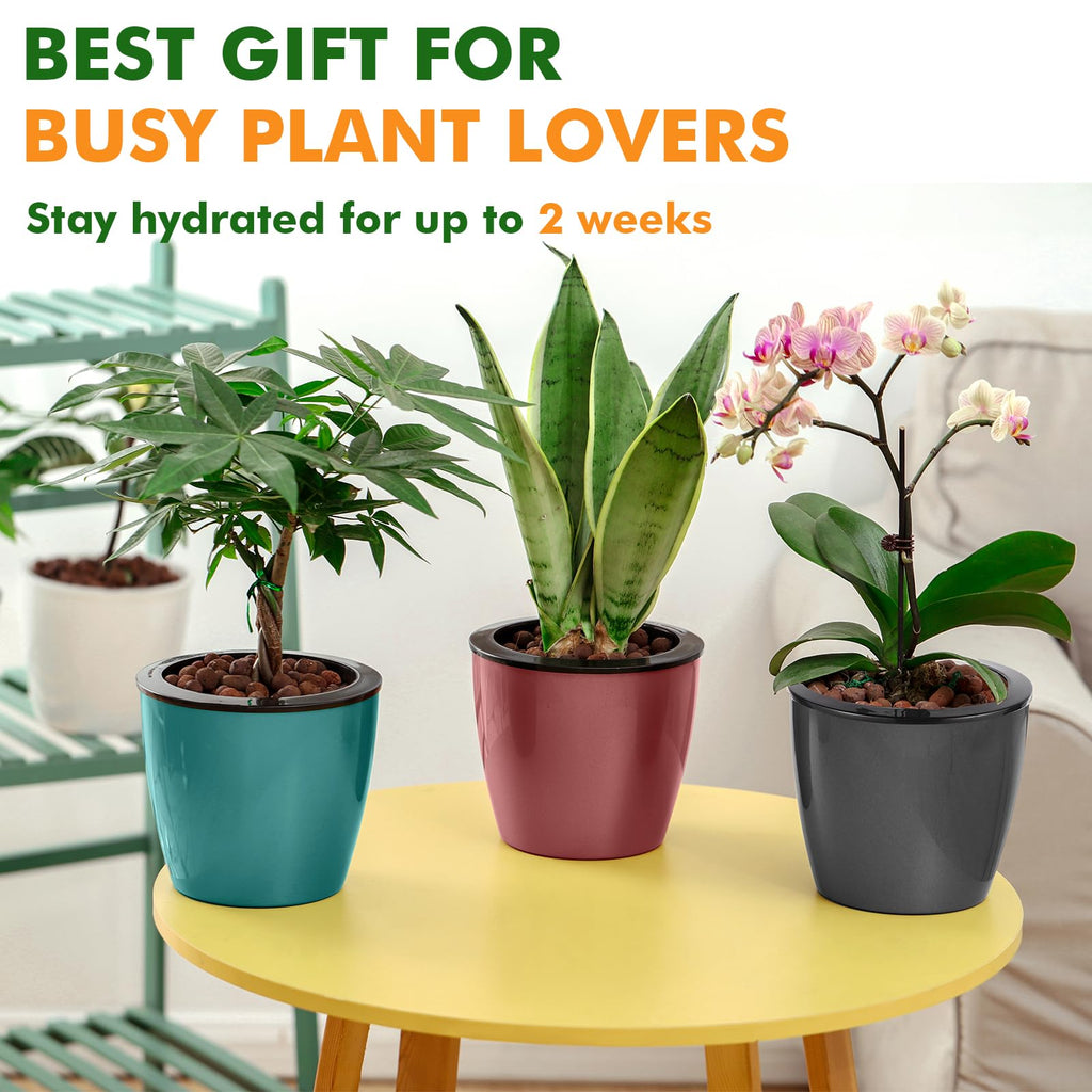 6.7 Inch Self Watering Pots for Indoor Plants, 6 Packs African Violet Pots with Indicator, Black Wick Pot with