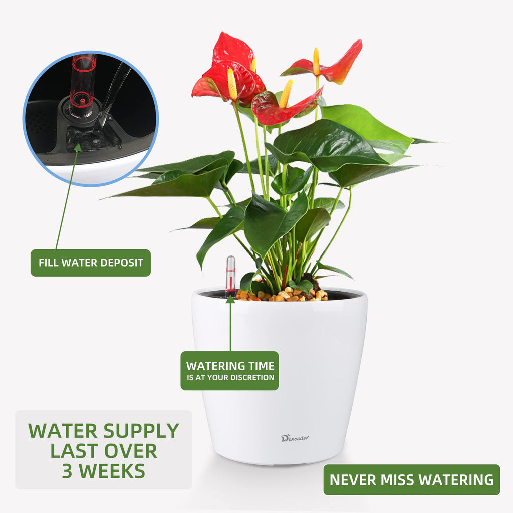 9x8 Self Watering Planter (White High Gloss)