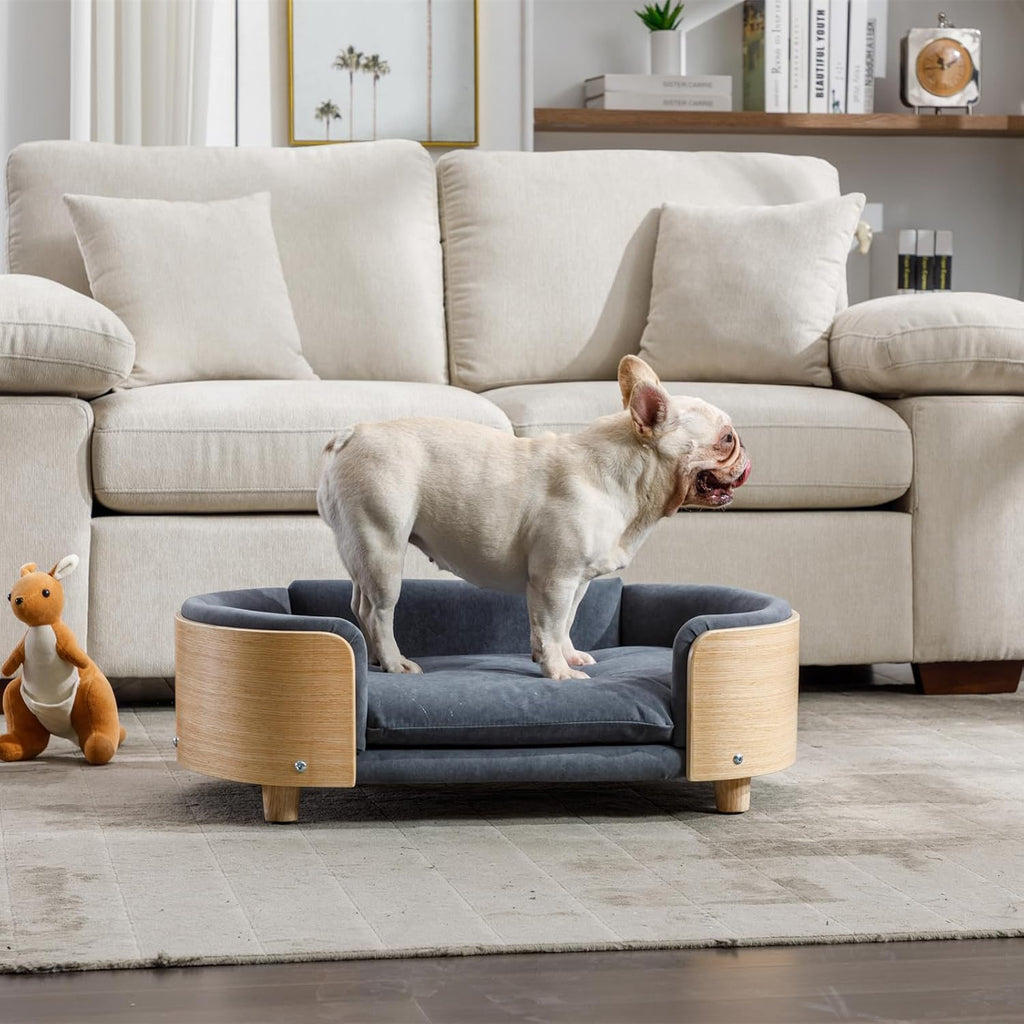 Elevated Dog Bed Pet Sofa, Dark Gray, Cashmere Velvet Cushion, Mid Size