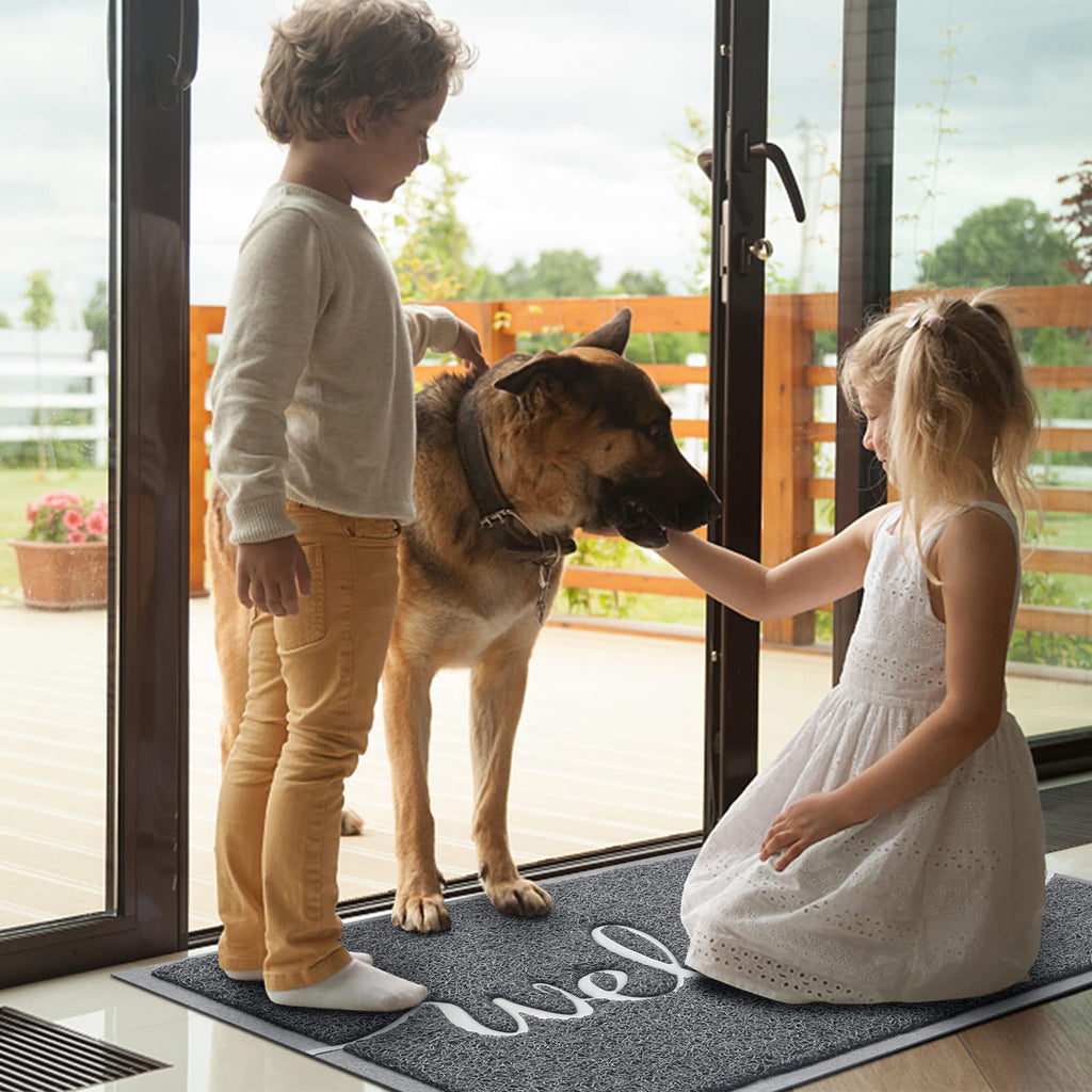 Door Mat Welcome Mat Floor Mat, High Traffic Areas