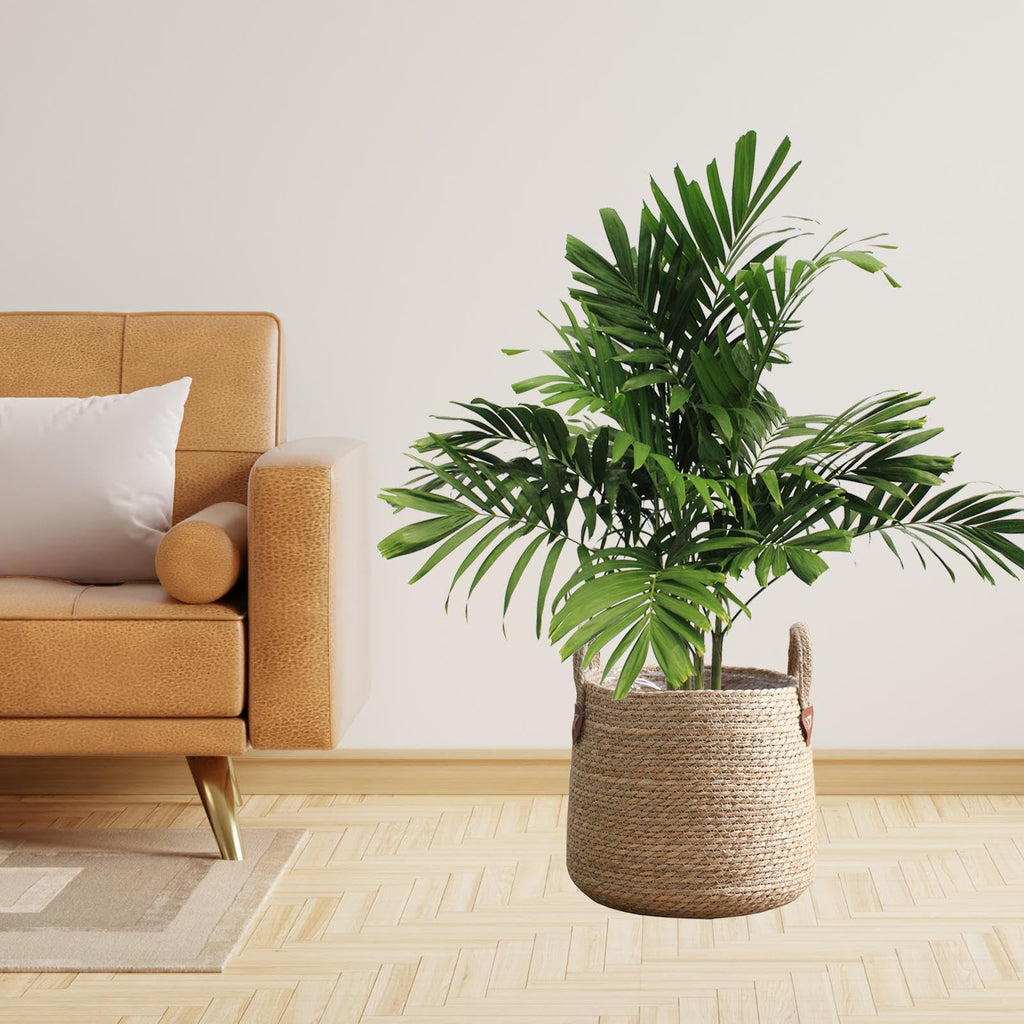 Woven Plant Basket Decorative Storage Basket Large Capacity Flower Pots Plant Container for Lawn Yard Balcony Home