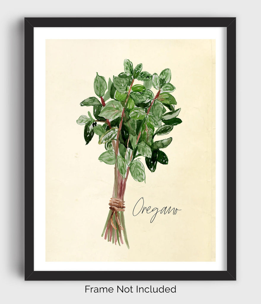 Kitchen Herbs Wall Art Prints - Set of 6-8x10 UNFRAMED Botanical Watercolor Illustrations of Basil, Parsley, Chives