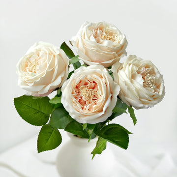 3.5'' Big Bloom Champagne Rose Artificial 4Pcs Real Touch Rose Faux 17.7Inch Long Stem Austen Roses Peonies Fake for