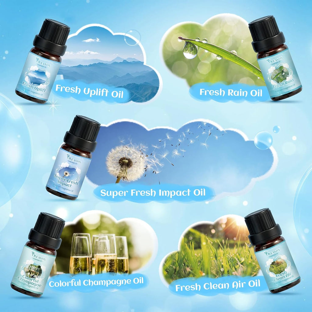 Clean Fragrance Oils Set for Diffuser, Essential Oils for Laundry - Set of 10