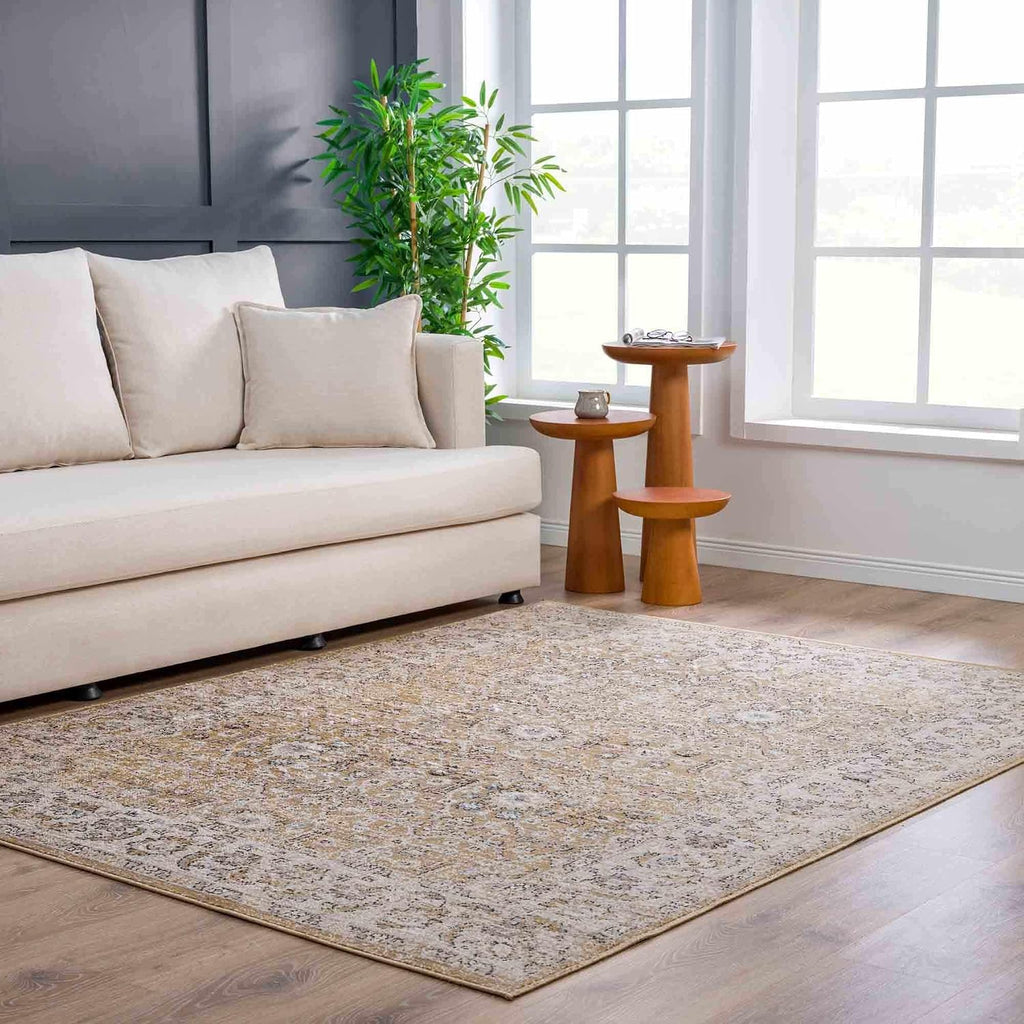 Wagner Living Room, Bedroom Area Rug - Floral Traditional Border Medallion Distressed - Traditional Oriental