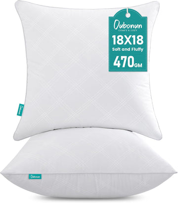 18x18 Throw Pillow Inserts, Soft Decorative Couch Cushion - Set of 2